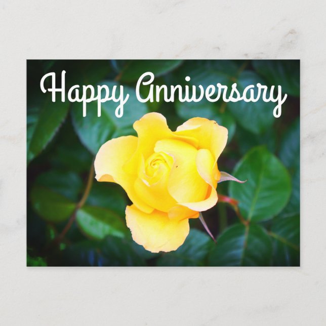 Happy Anniversary Walking on Sunshine Rose #1 Postcard (Front)