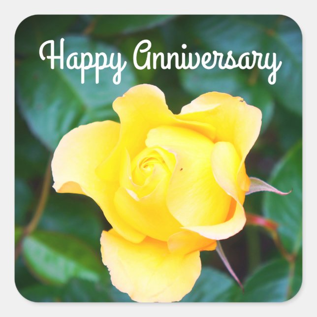 Happy Anniversary Walking on Sunshine Rose #1 Square Sticker (Front)