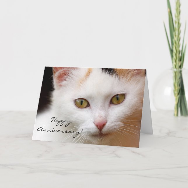 Happy Anniversary White cat greeting card (Front)