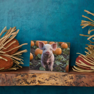 Happy As A Baby Pig In A Pumpkin Patch, Plaque