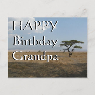 Happy B-day Grandpa Serengeti Plains Postcard