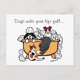 Happy Bath Time Black Labrador Cartoon Postcard