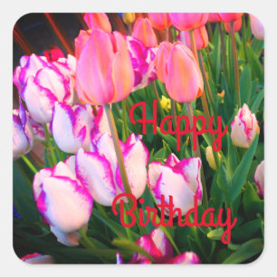 Happy Bday Tulips Peace Flame & Affaire #2 Square Sticker