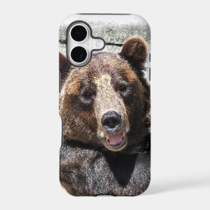 Happy Bear