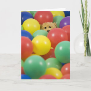Happy Bear Day - Birthday Invitation