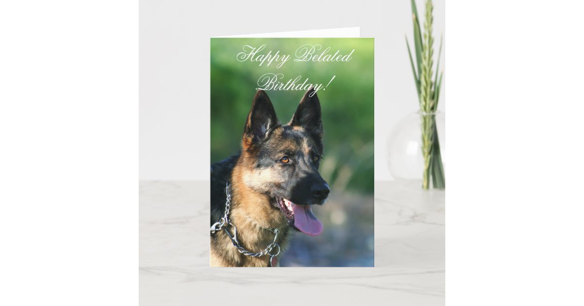 Happy Belated Birthday German Shepherd card | Zazzle