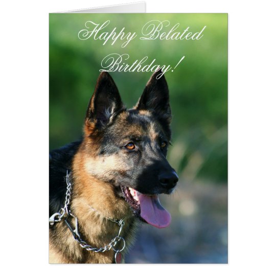 Happy Belated Birthday German Shepherd card | Zazzle.co.uk