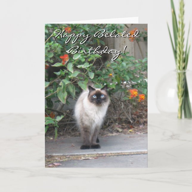 Happy Belated Birthday Himalayan Mix cat Card (Front)