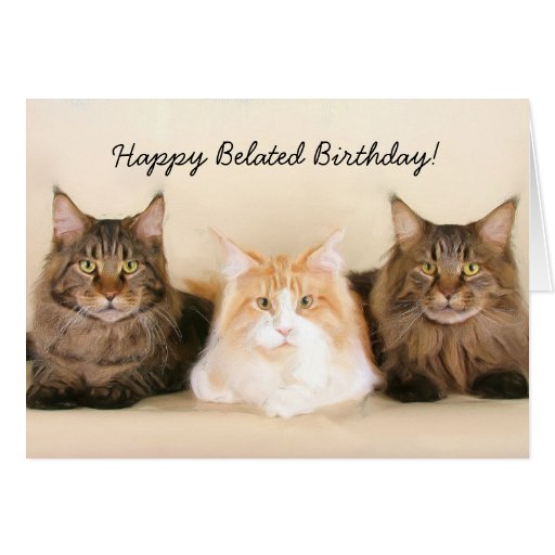 Happy Belated Birthday Maine Coon Cat card | Zazzle