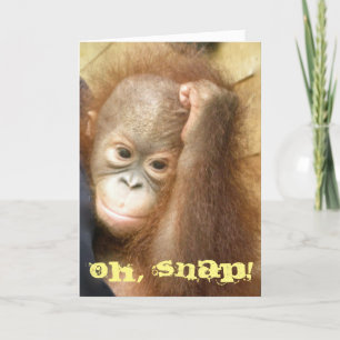 Happy Belated Birthday Oh Snap Card