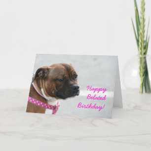 Happy Belated Birthday staffordshire terrier  card