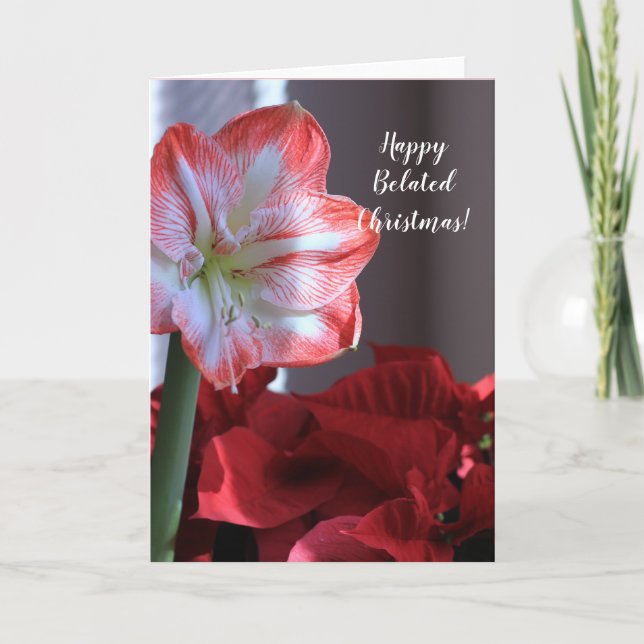 Happy Belated Christmas Amaryllis flower card (Front)