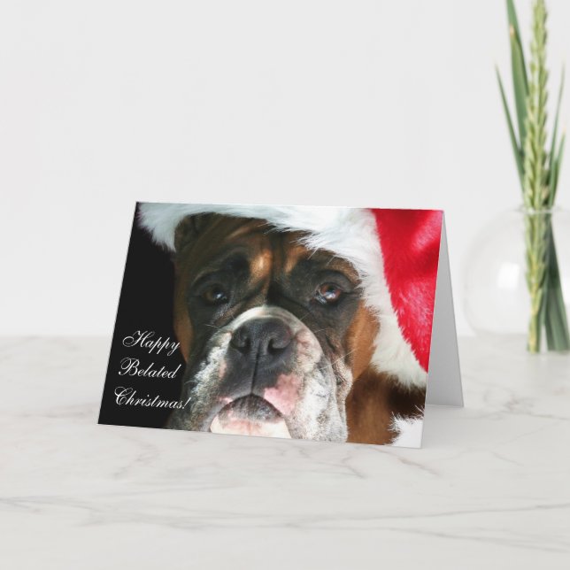 Happy belated Christmas Boxer Dog Card (Front)