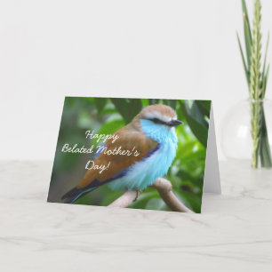 Happy Belated Mother's Day Beaubird card