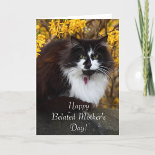 Happy Belated Mother's Day Cat greeting card