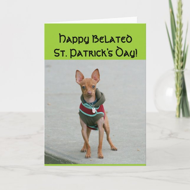 Happy Belated St Patrick's day Chihuahua card (Front)