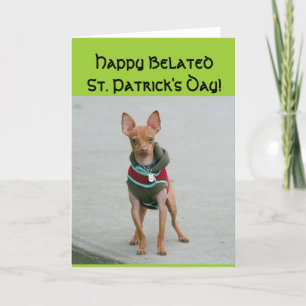 Happy Belated St Patrick's day Chihuahua card