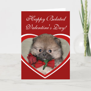 Happy Belated Valentine's Day Pomeranian  Card