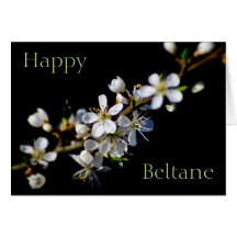 Happy Beltane (spring blossom)