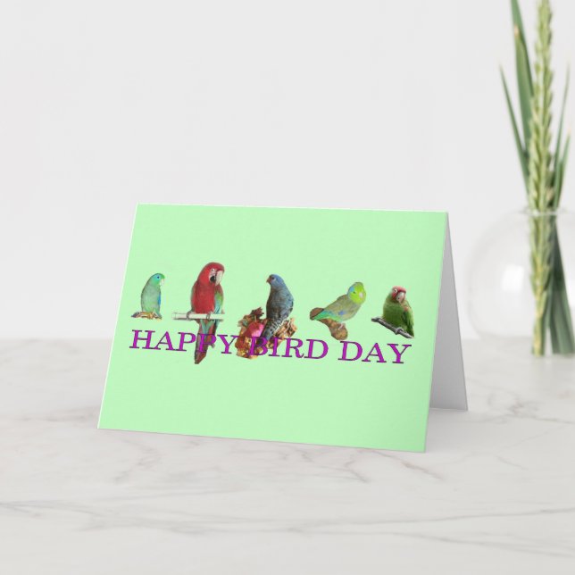 Happy Bird Day Card (Front)