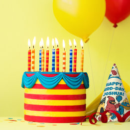 Happy Bird Day Cartoon Birds Themed Birthday Party Hat