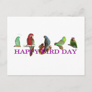 Happy Bird Day Postcard