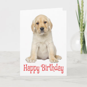 Happy Birthda Yellow Labrador Retriever Puppy Dog Card