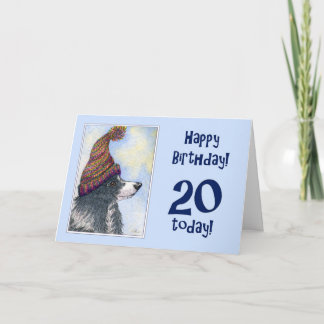 Happy Birthday, 20 today, border collie dog in bob Card