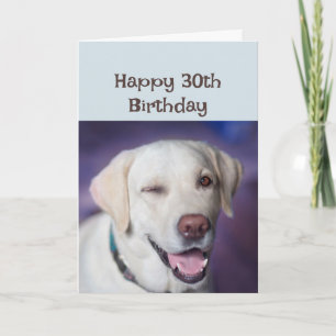 Happy Birthday 30th again Winking Dog Humour Card