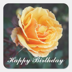 Happy Birthday About Face Rose #3 Stickers