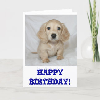 Happy birthday achshund card