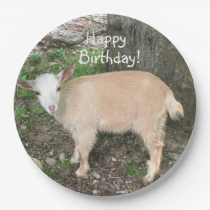 Happy Birthday Adorable Baby Goat Paper Plate