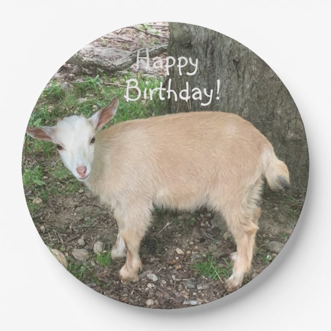 Happy Birthday Adorable Baby Goat Paper Plate (Front)