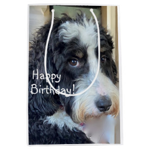 Happy Birthday Adorable Bernedoodle Medium Gift Bag