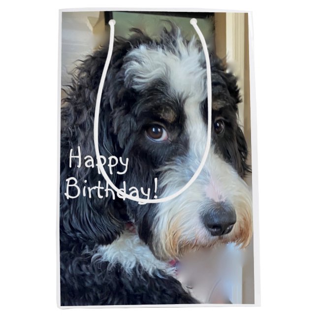 Happy Birthday Adorable Bernedoodle Medium Gift Bag (Front)