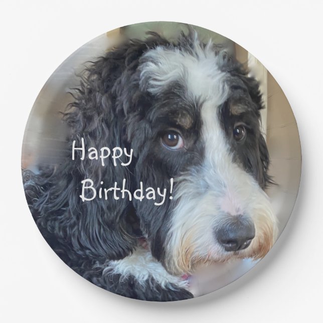 Happy Birthday Adorable Bernedoodle Paper Plate (Front)