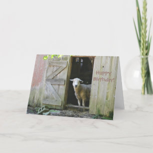 Happy Birthday Adorable Sheep Card