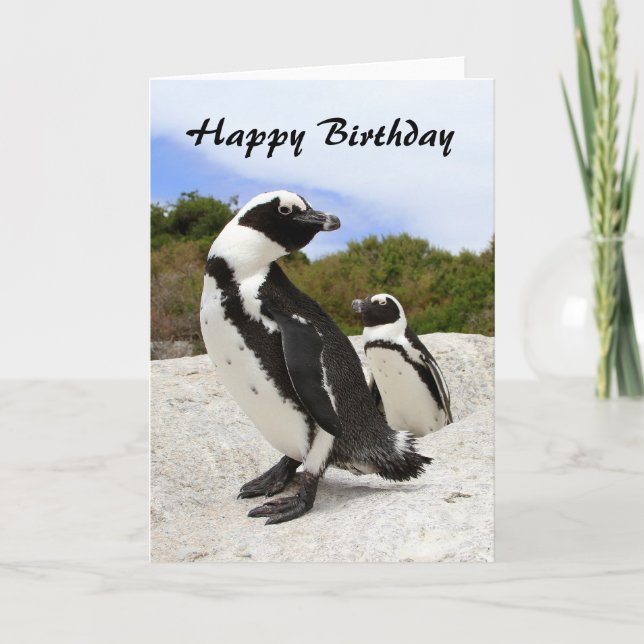 Happy Birthday African Penguins Card (Front)