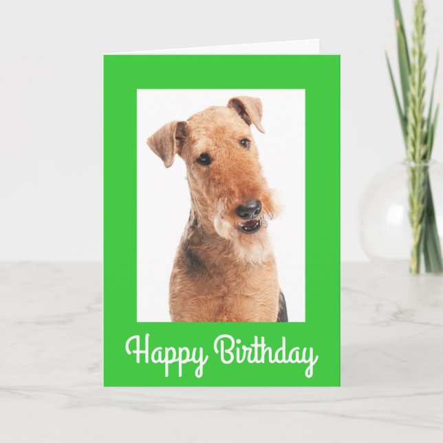 Happy Birthday Airedale Terrier Dog Greeting Card (Front)