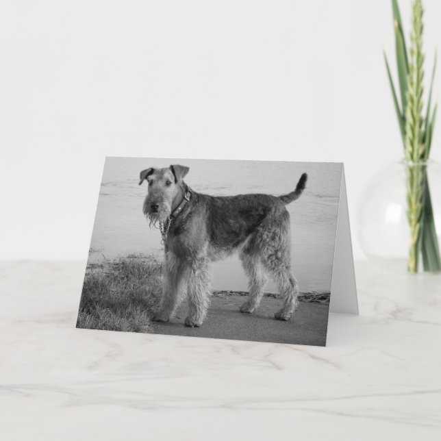 Happy Birthday Airedale Terrier Puppy Dog Card (Front)
