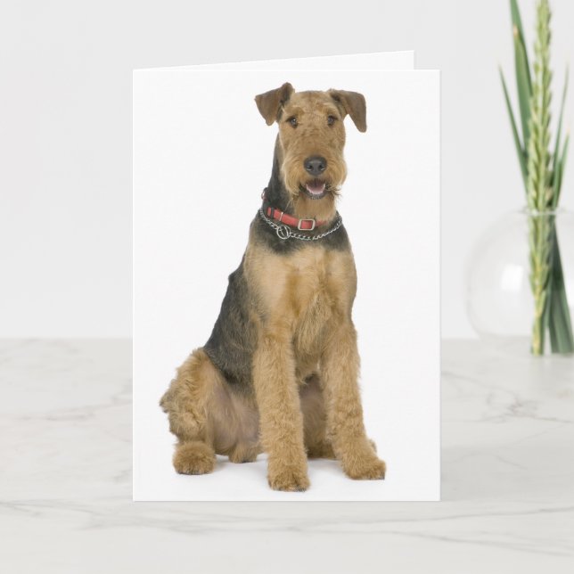 Happy Birthday Airedale Terrier Puppy Dog Card (Front)