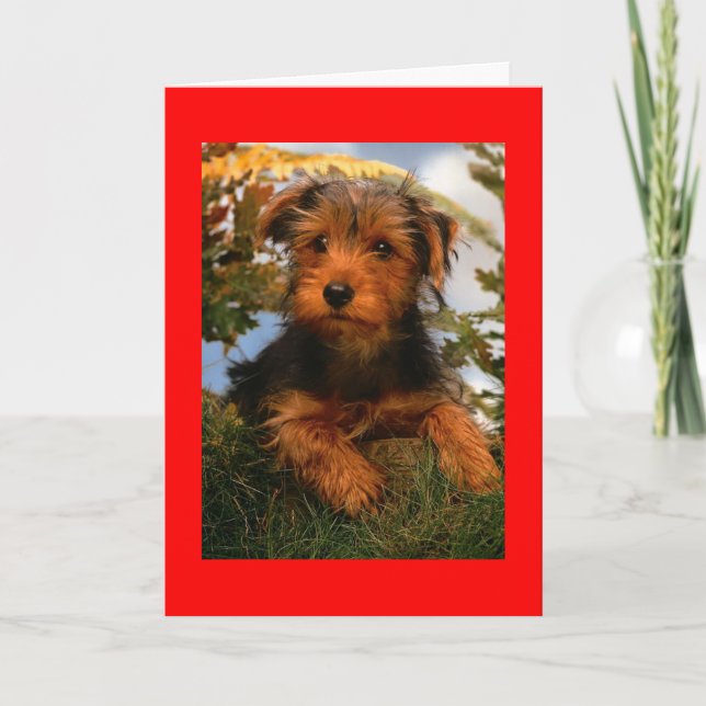 Happy Birthday Airedale Terrier Puppy Dog Card (Front)