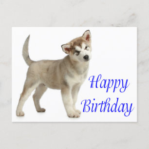 Happy Birthday Alaskan Malamute Puppy Dog Card
