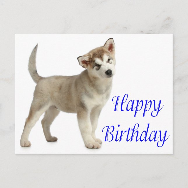Happy Birthday Alaskan Malamute Puppy Dog  Card (Front)