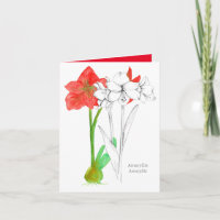 Happy Birthday Amaryllis Language of Flowers