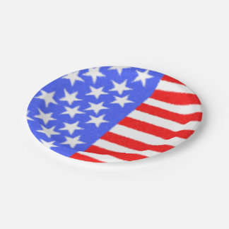 Happy  Birthday America Paper Plate