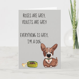 Happy Birthday Anniversary  from the Dog Humour Card