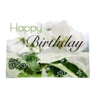 "Happy Birthday" Apple Blossoms Water Card
