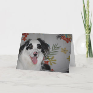 Happy Birthday! Australian Shepherd Card