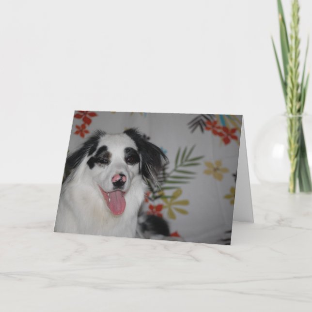 Happy Birthday!  Australian Shepherd Card (Front)